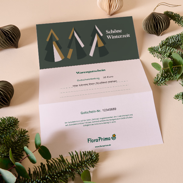 Digital Gift Certificate „Schöne Winterzeit“