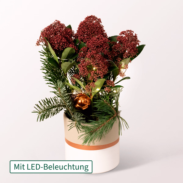 Rote Weihnachts-Skimmie mit Lichterkette