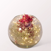 Lichtertraum im Glas