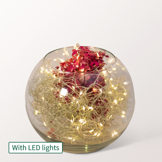 Light Dream in a Glass