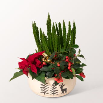 Arrangement Wintermagie