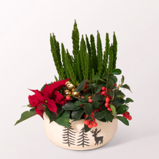 Arrangement Winter Magic