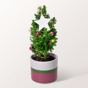 Weihnachtsbaum Sweet Christmas mit Lichterkette