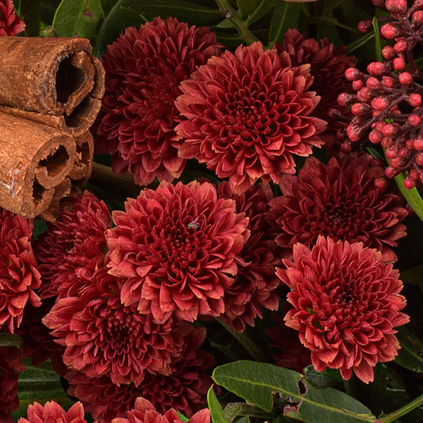 Flower Bouquet Wintermelodie with Halloren Balls & vase
