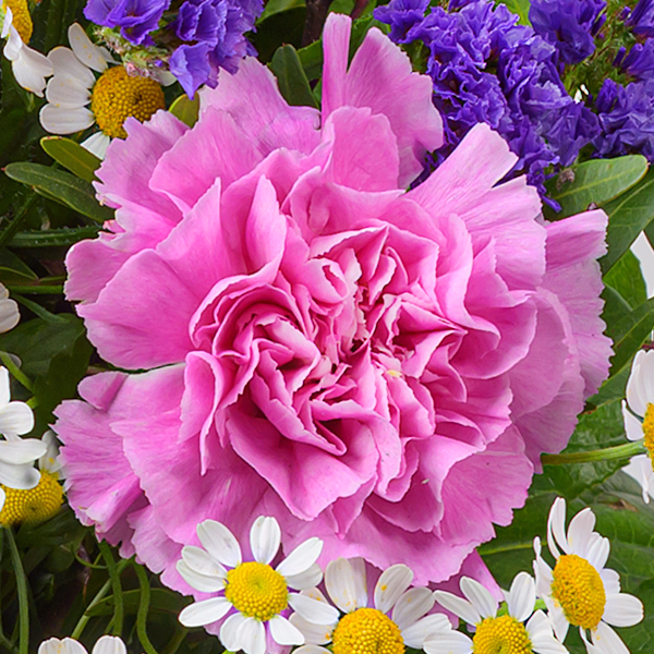 Blumenstrauß Frühlingslaune mit Vase & Ferrero Giotto 3er