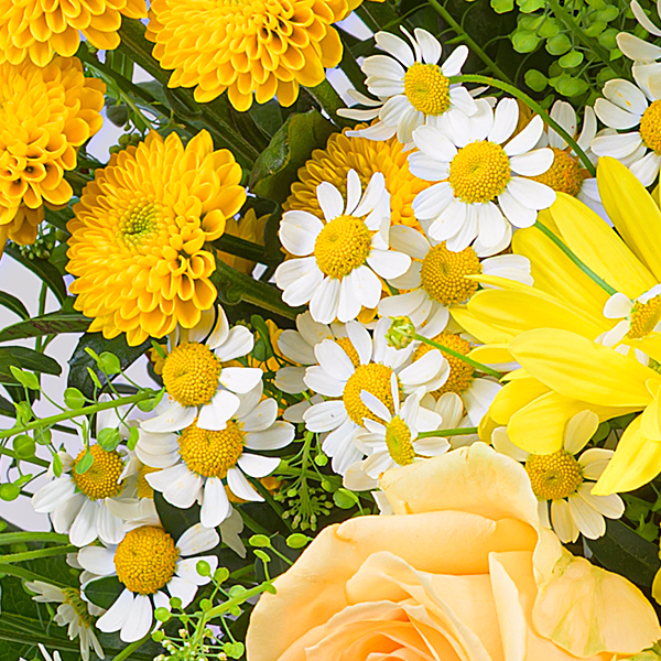 Blumenstrauß Blütenzauber mit Vase & Ferrero Giotto 3er