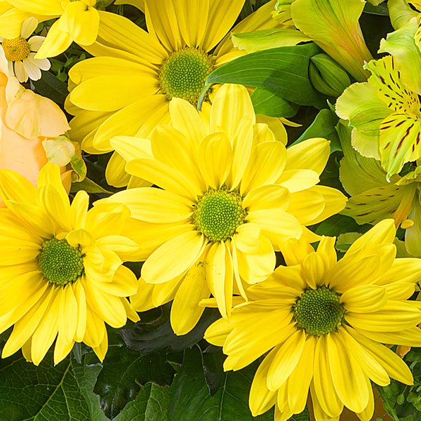 Blumenstrauß Blütenzauber mit Vase & Ferrero Giotto 3er