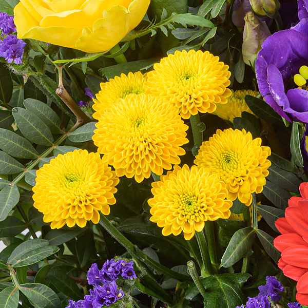 Premiumstrauß Blütenromanze mit Premiumvase & Ferrero Giotto 3er