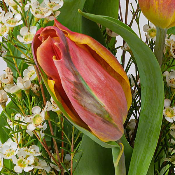 Arrangement Kleines Glück with 3 Ferrero Giotto