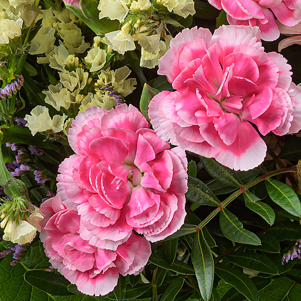 Flower Bouquet Frühlingsschatz with vase & 3 Ferrero Giotto