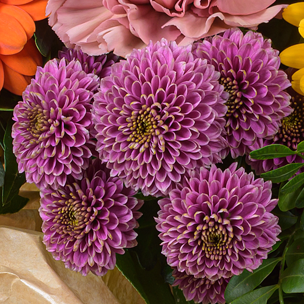 Blumenstrauß Happy Spring mit Vase & Ferrero Giotto 3er