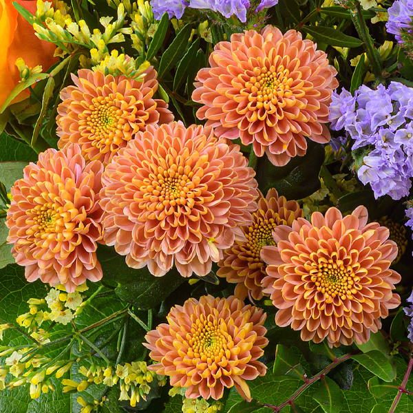 Blumenstrauß Frühjahrszauber mit Vase & Ferrero Giotto 3er