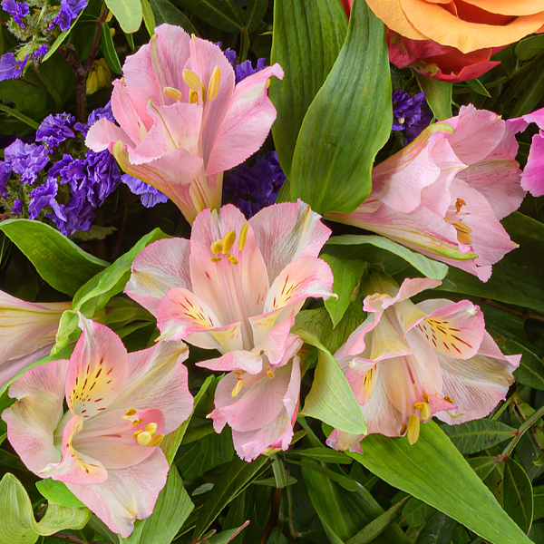 Blumenstrauß Blütenexplosion mit Vase & Ferrero Giotto 3er