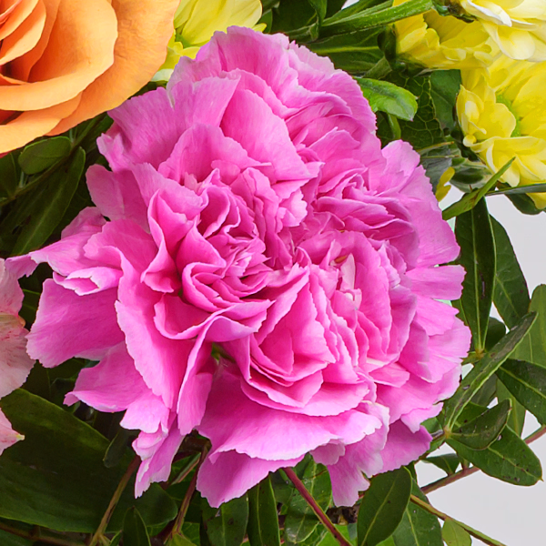 Blumenstrauß Blütenexplosion mit Vase & Ferrero Giotto 3er