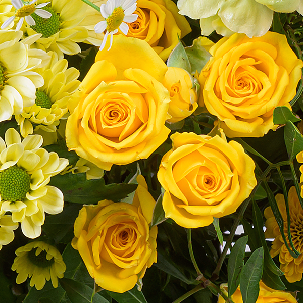 Premium Bouquet Sonnenfest with Premium Vase & 3 Ferrero Giotto