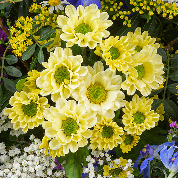 Premiumstrauß Märchengarten mit Premiumvase & Ferrero Giotto 3er