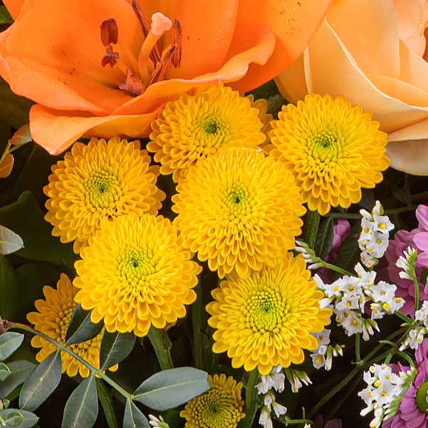 Premiumstrauß Sonnenglück mit Premiumvase & Ferrero Giotto 3er