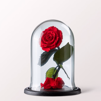 Eternal rose in a glass