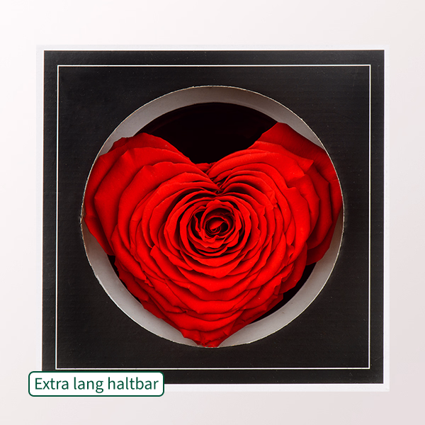 Ewige Rose in Herzform