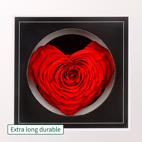 Eternal rose in heart shape