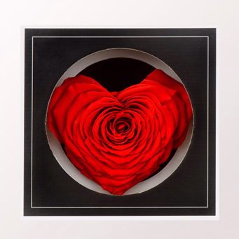 Eternal rose in heart shape