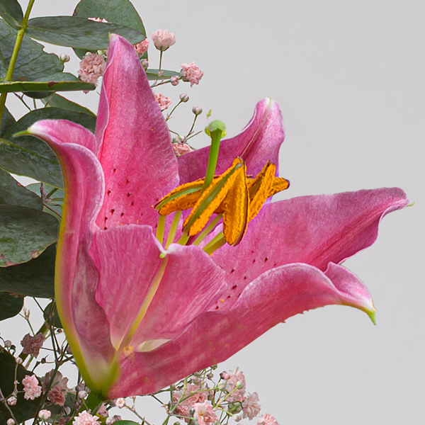 Blumenstrauß Poesie mit Vase & Ferrero Giotto 3er