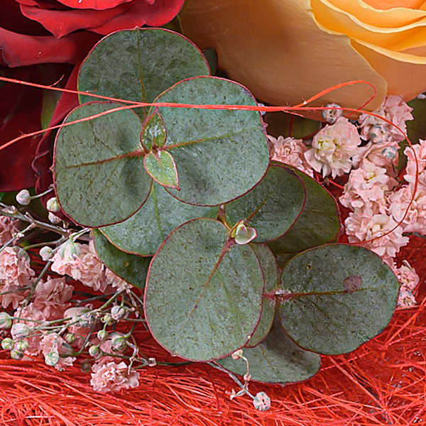 Rosenstrauß Rosentraum mit Vase & Ferrero Giotto 3er