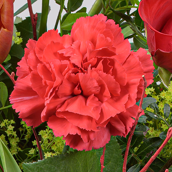 Flower Bouquet Velvet with vase & 3 Ferrero Giotto