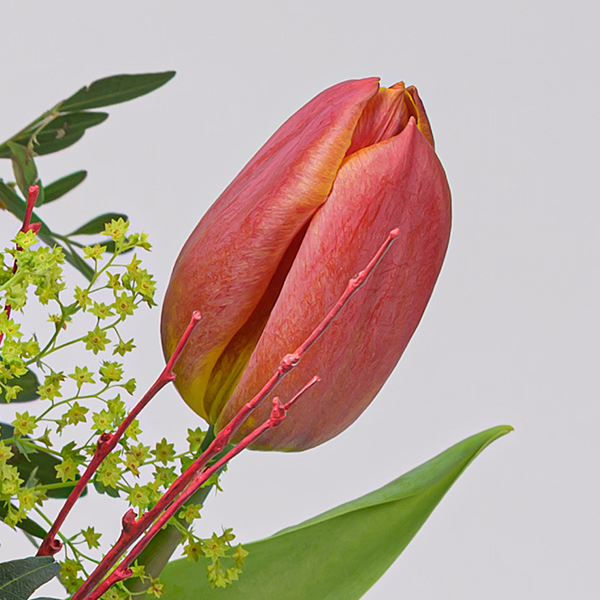Blumenstrauß Velvet mit Vase & Ferrero Giotto 3er