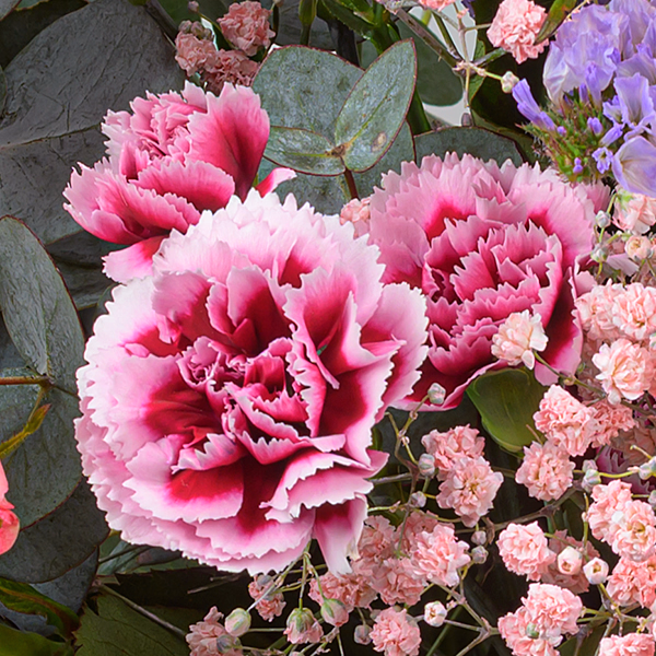 Flower Bouquet Blütenschönheit with vase & 3 Ferrero Giotto