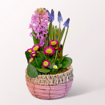 Frühlingsfarben in a Basket