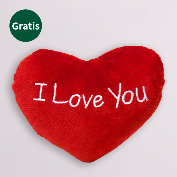 Plüschherz „I love you“ (10 cm)