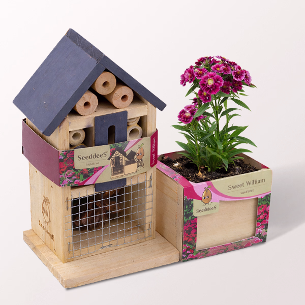 Insect hotel with sweet William