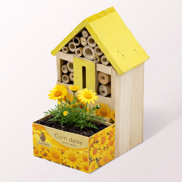 Insektenhotel mit Gänseblümchen