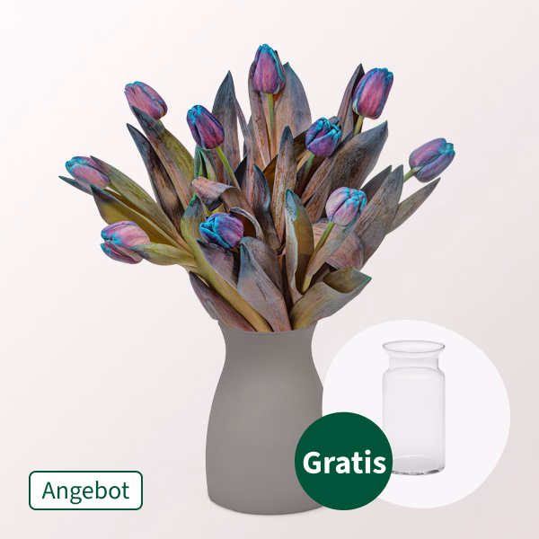 Außergewöhnliche blau-lila Tulpen im Bund mit Vase