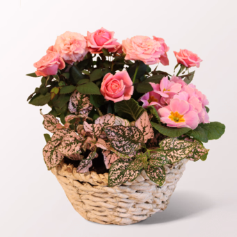 Ode to Spring in a white Wicker Basket