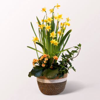 Frühlingsgarten im Korb