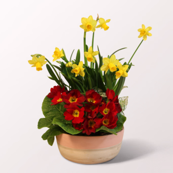 Blütenharmonie in a Bambus Bowl