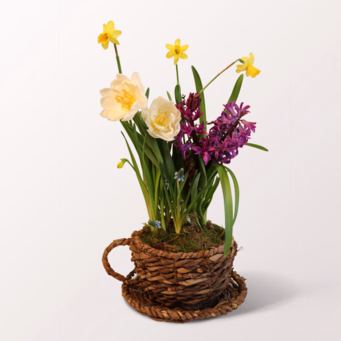 Frühlingsflirt in a Cup Basket