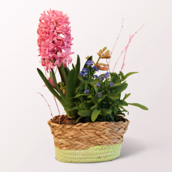 Frühlingspoesie in a Basket