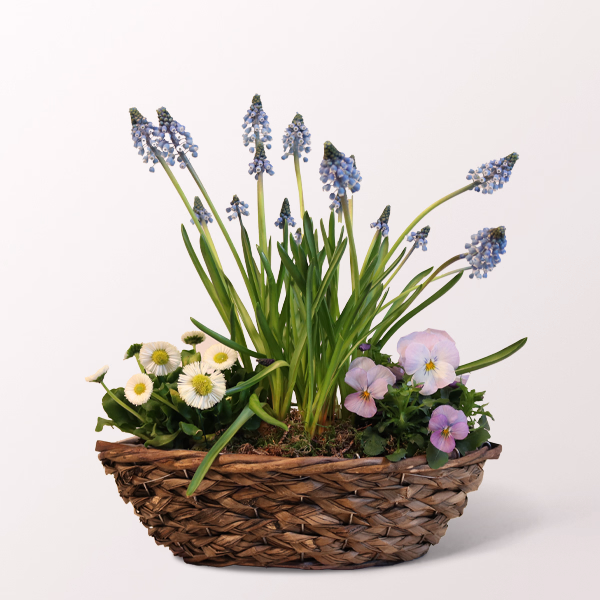 Spring in a Woven Basket