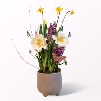 Frühlingsparty in a Ceramic Pot