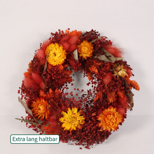 Trockenkranz Morgenlicht