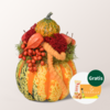 Arrangement Herbstleuchten mit Teaballs & Ferrero Giotto 3er