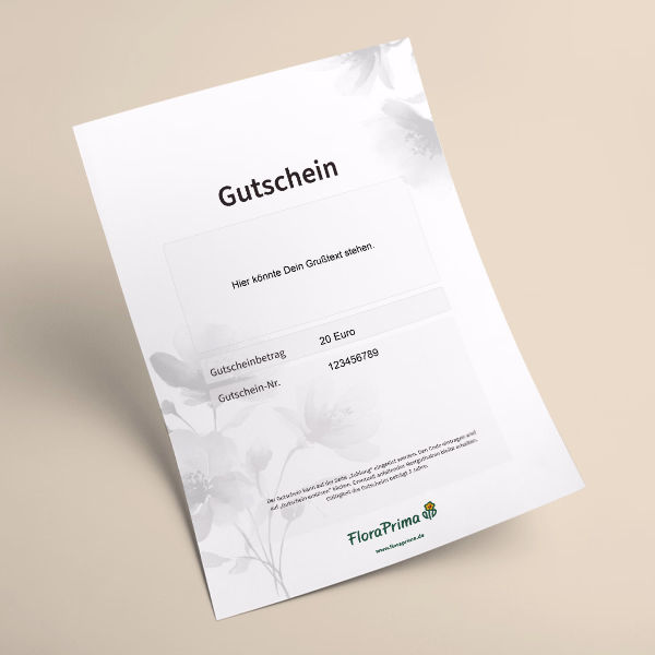 Digital Gift Certificate Condolences