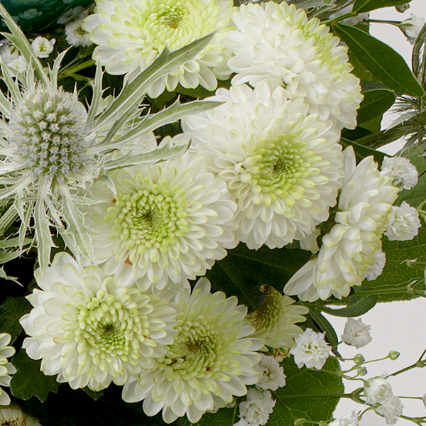 Blumenstrauß Sternstunde mit Vase & Ferrero Giotto 3er