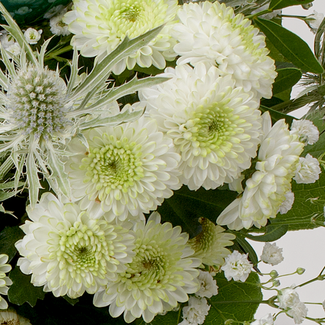 Blumenstrauß Sternstunde mit Vase & Ferrero Giotto 3er