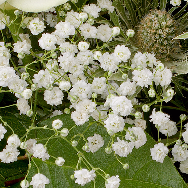 Flower Bouquet Sternstunde with Halloren Balls & vase