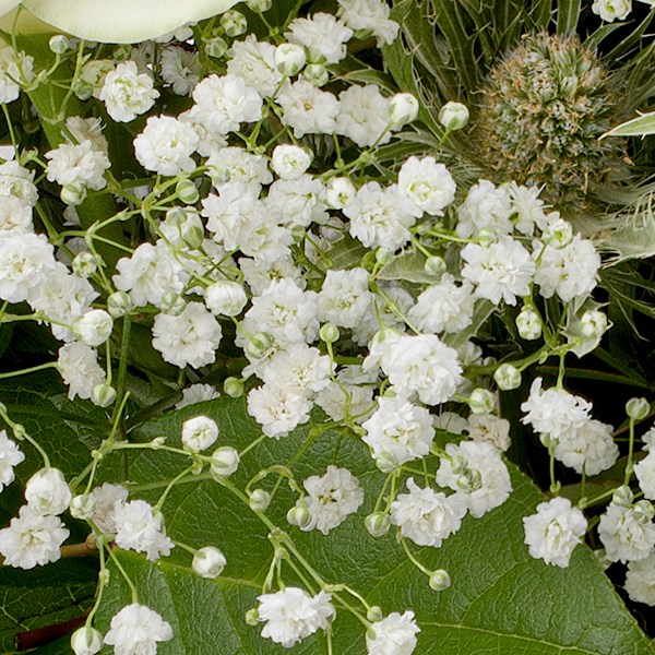 Flower Bouquet Sternstunde with vase & 3 Ferrero Giotto