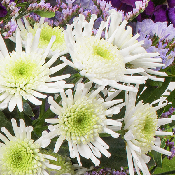 Flower Bouquet Winterkind with vase & 3 Ferrero Giotto